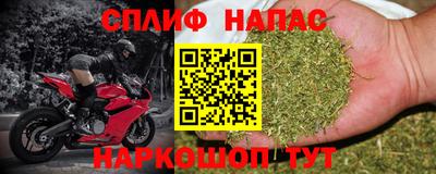 не бодяженный Камышлов