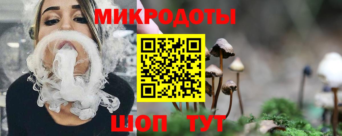 Псилоцибиновые грибы Cubensis Камышин