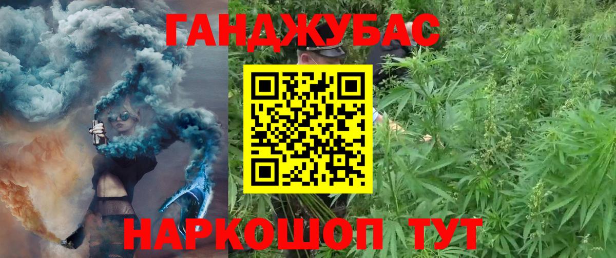 Бошки Шишки планчик Камышин